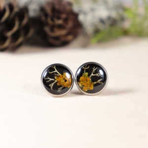 Lichen and Moss Resin Black Stud Earrings Silver color base