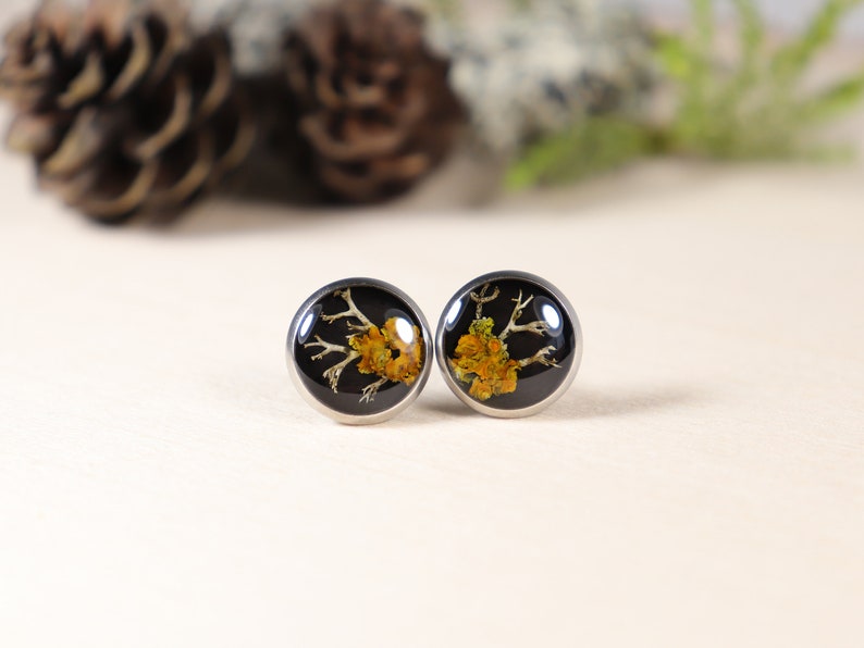 Lichen and Moss Resin Black Stud Earrings Silver color base