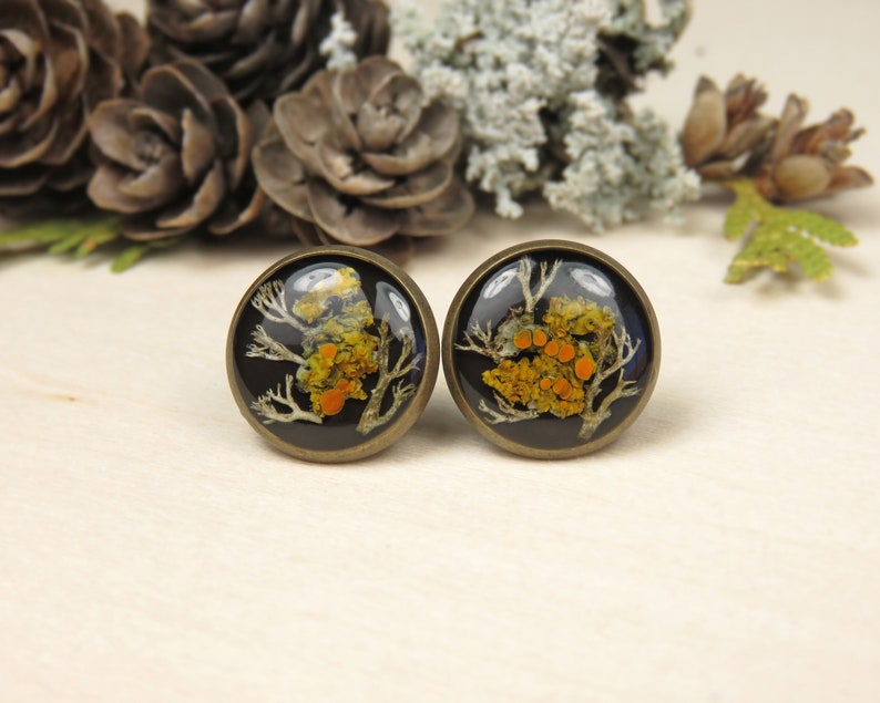 Lichen and Moss Resin Black Stud Earrings Bronze color base