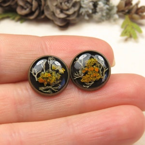 Lichen and Moss Resin Black Stud Earrings image 6
