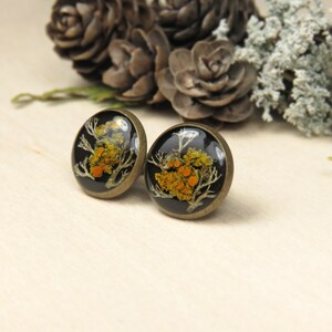 Lichen and Moss Resin Black Stud Earrings image 2