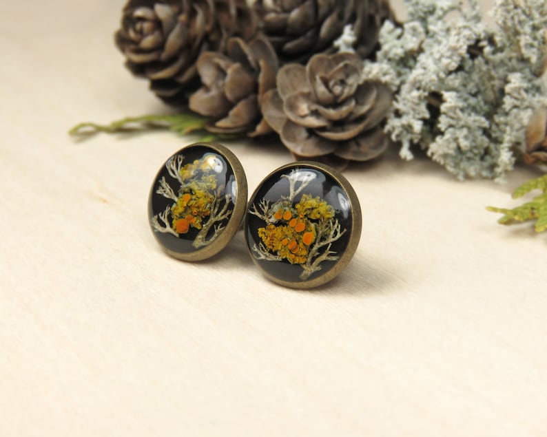 Lichen and Moss Resin Black Stud Earrings image 2