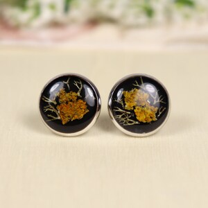 Lichen and Moss Resin Black Stud Earrings image 5