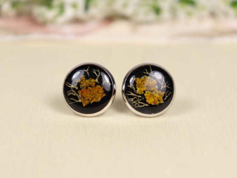 Lichen and Moss Resin Black Stud Earrings image 5