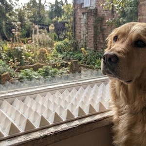 以下が含まれることがあります： 窓際に座り、外を見ているゴールデンレトリバー犬。犬は明るい茶色の毛皮と暗い目を持っています。白い三角形の窓枠が前景にあります。背景には庭とレンガ造りの建物が写っています。