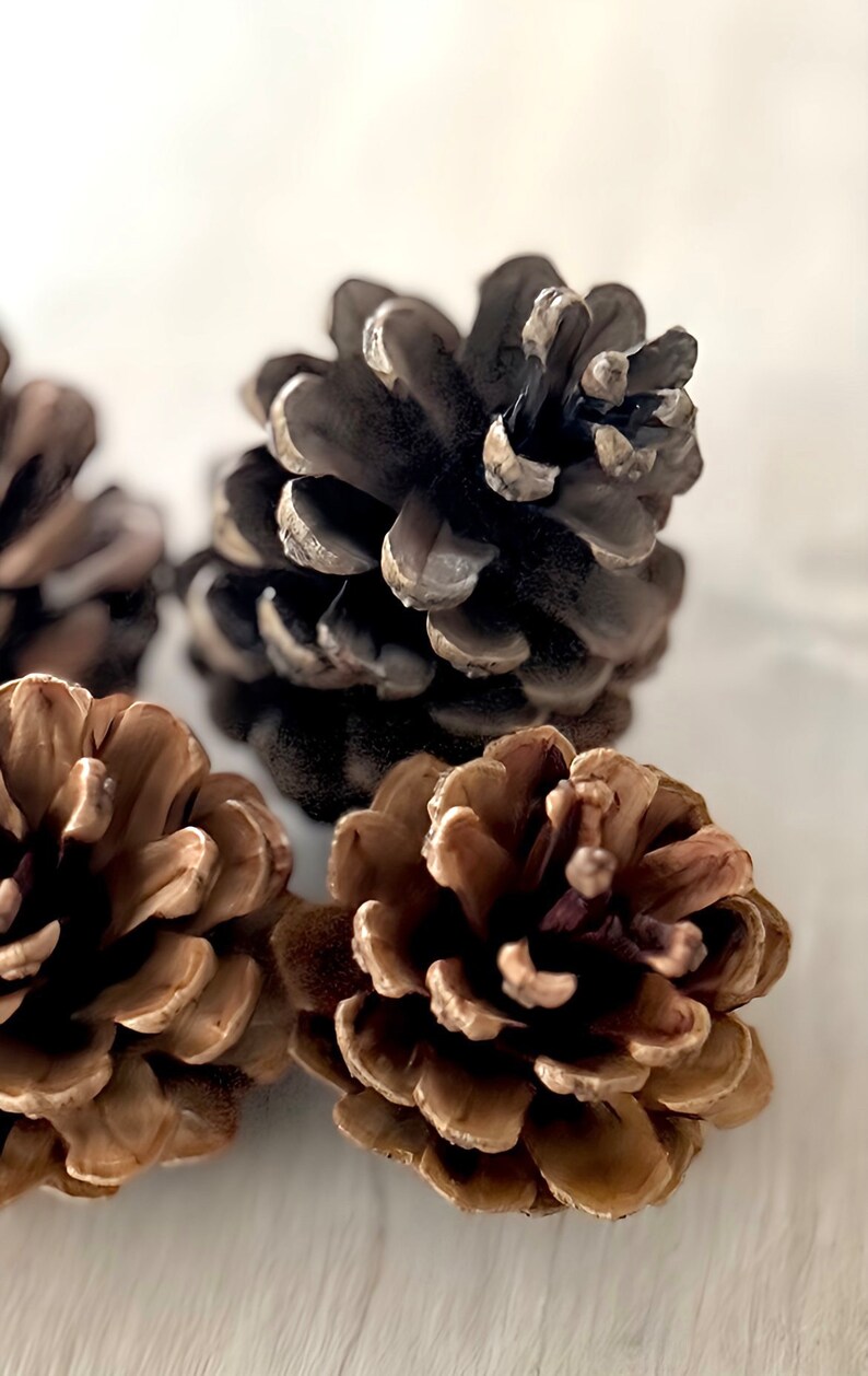 Pommes De Pin Naturelles Bright Ideas - Lot De 25 - 4-6 Cm - Pour Décoration, Artisanat, DIY