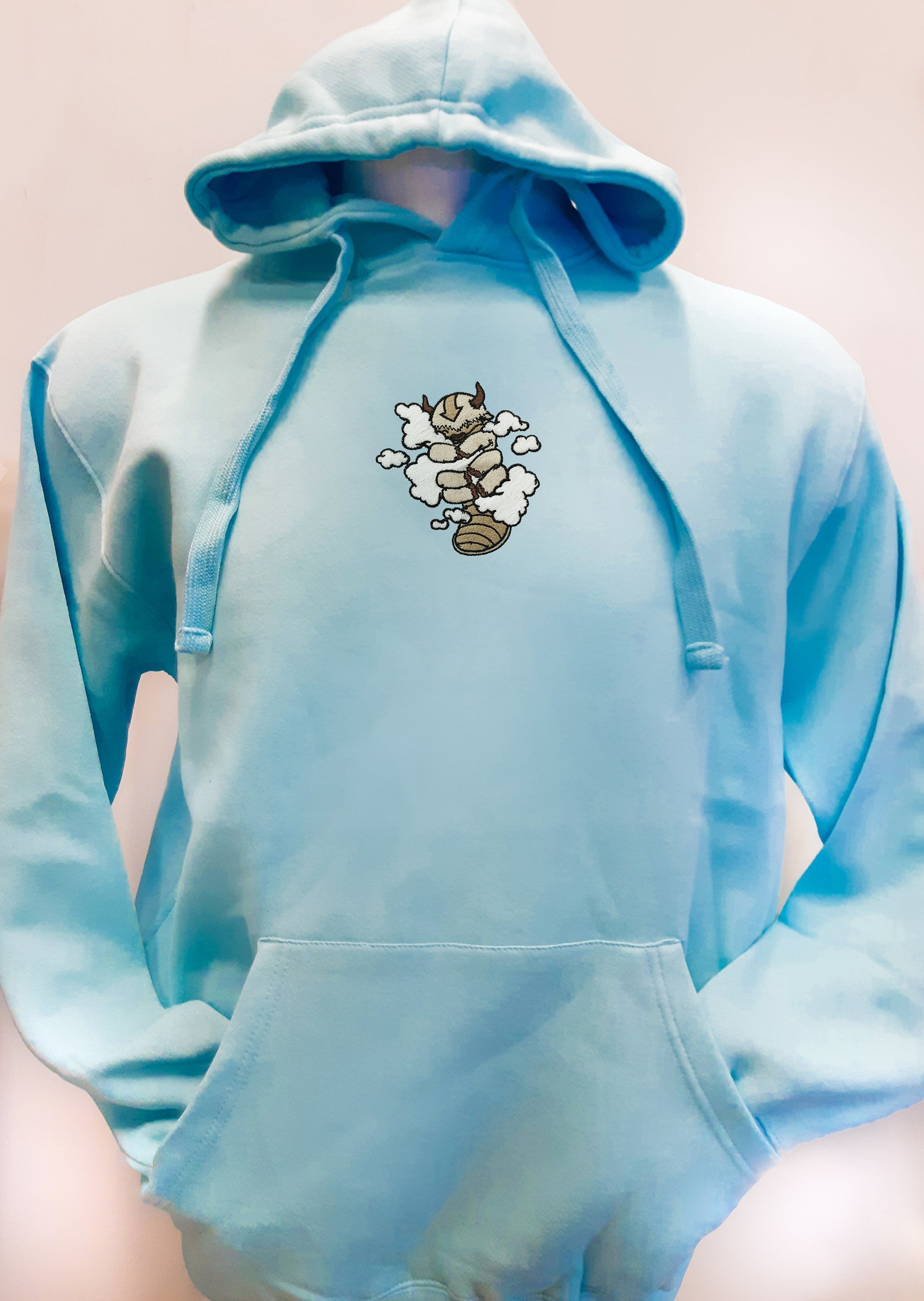 Appa Embroidered Hoodies 5 Pink or Blue Etsy