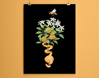 Orange Peel & Bee 8x10 or 5x7 Art Print
