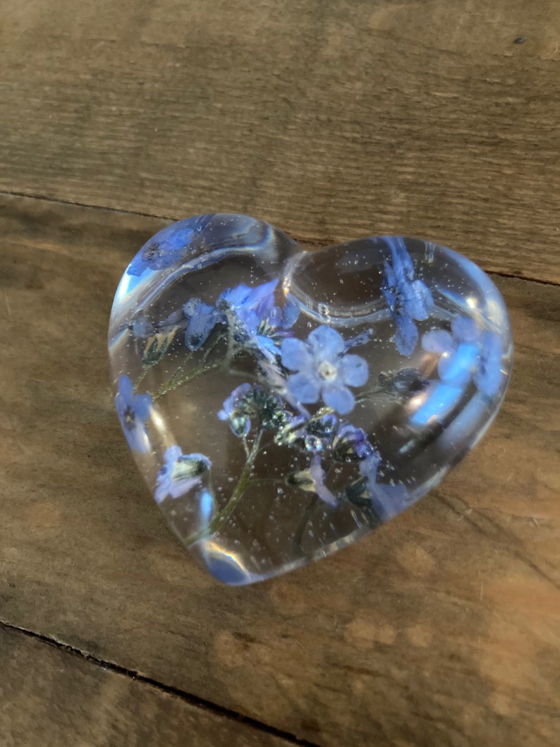 Puede incluir: Un pisapapeles de vidrio transparente en forma de coraz&oacute;n con flores azules de nomeolvides prensadas en su interior.