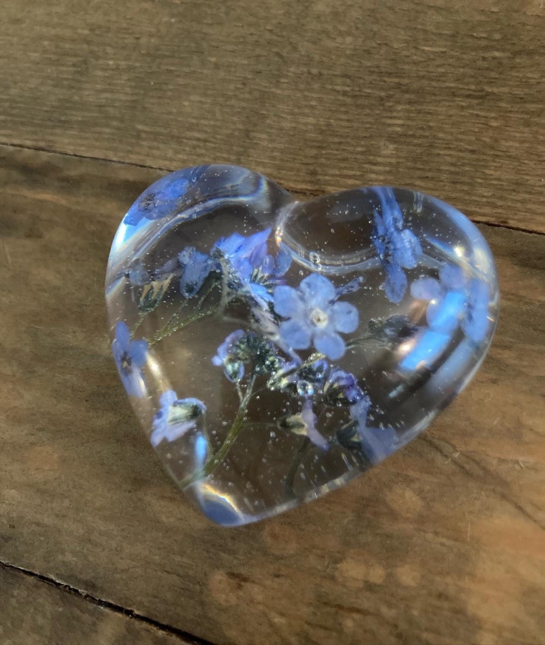 Puede incluir: Un pisapapeles transparente en forma de coraz&oacute;n con flores azules de nomeolvides prensadas en su interior.