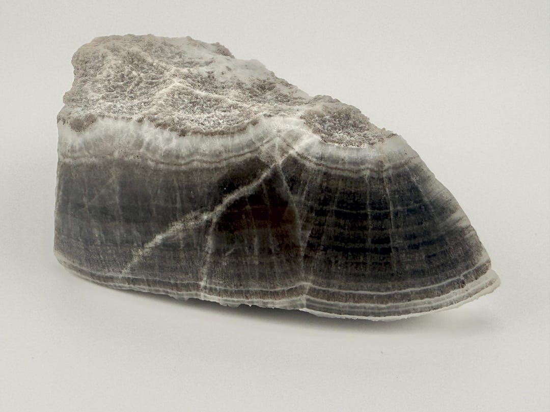Highland Banded Rocks Banded Gray Evaporite Rock - Etsy