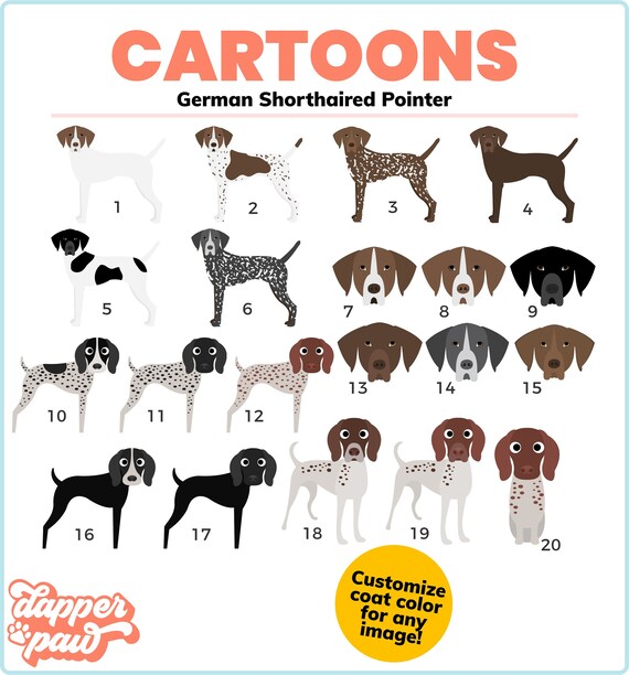 german shorthaired pointer accessories