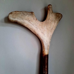 Handmade Thumb Walking Stick - Antler on Varnished Hazel with Brass Ferrule - English/Scottish Hiking Pole Thumbstick