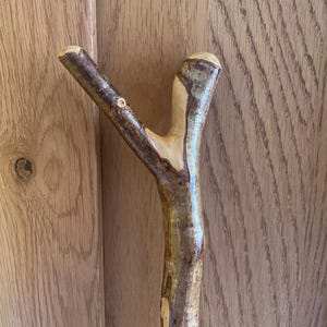 Handmade Thumb Walking Stick - Varnished Hazel - English/Scottish Hiking Pole Stick