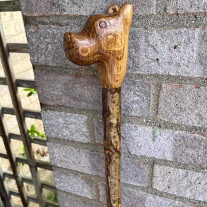 Bastone da passeggio in legno di nocciolo con impugnatura a testa di cane in quercia e puntale in ottone, lunghezza 60 pollici (circa 152 cm).