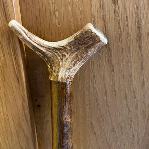 Handmade Thumb Walking Stick - Antler on Varnished Hazel with Brass Ferrule - English/Scottish Hiking Pole Thumbstick 52"