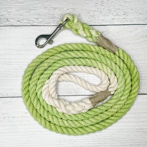 May include: A coiled dog leash with a silver metal clasp. The leash is made of thick, braided rope in shades of green and cream. The handle is a lighter green, and the leash is coiled on a white wooden surface.