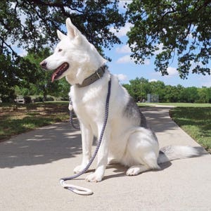 Grey Cotton Rope Dog Leash // Ombre Rope Leash // Cotton Rope Leash // Rope Dog Lead image 4