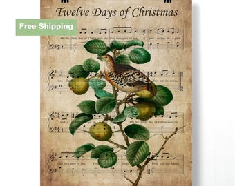 Partridge in a Pear Tree Christmas Carol Poster: Vintage Sheet Music Art