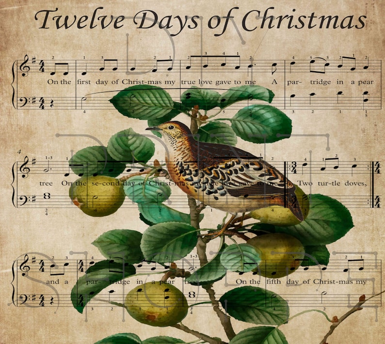 Partridge Pear Tree, Holiday Printable, Christmas Printable, 12 Days