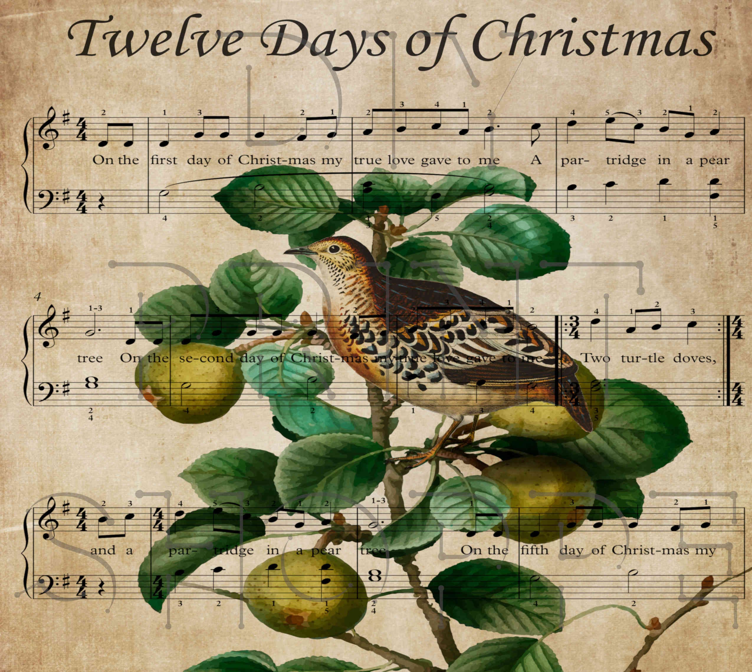 Partridge Pear Tree, Holiday Printable, Christmas Printable, 12 Days ...