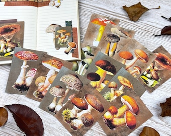 Mushroom Journal Cards, Sticker Flakes & Ephemera - Autumn Aesthetic