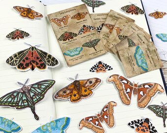 Moths Journal Cards, Ephemera, Die Cuts, Planner Stickers