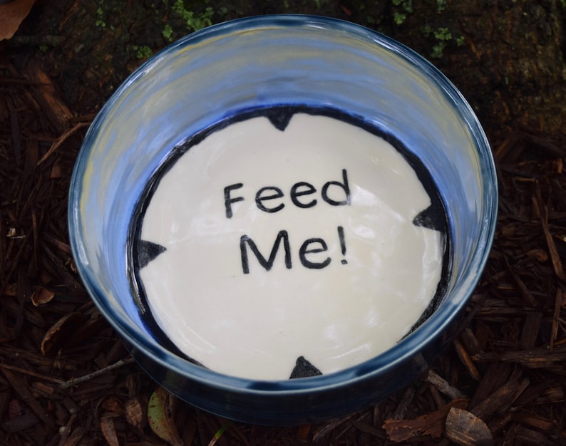 Ceramic handmade dog bowl