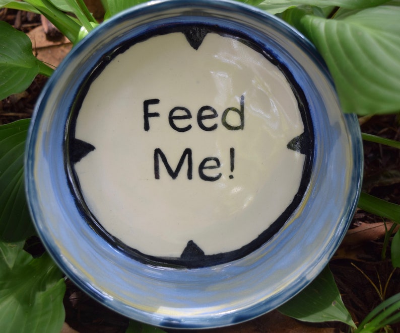 Ceramic handmade dog bowl