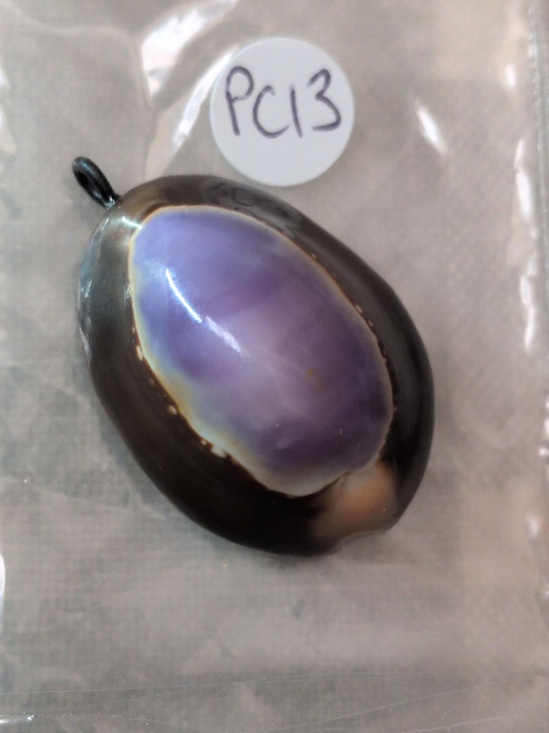 Small Cowries New Item...natural Purple Cowrie Shell Pendant.. Crystal Healing, Boho ...