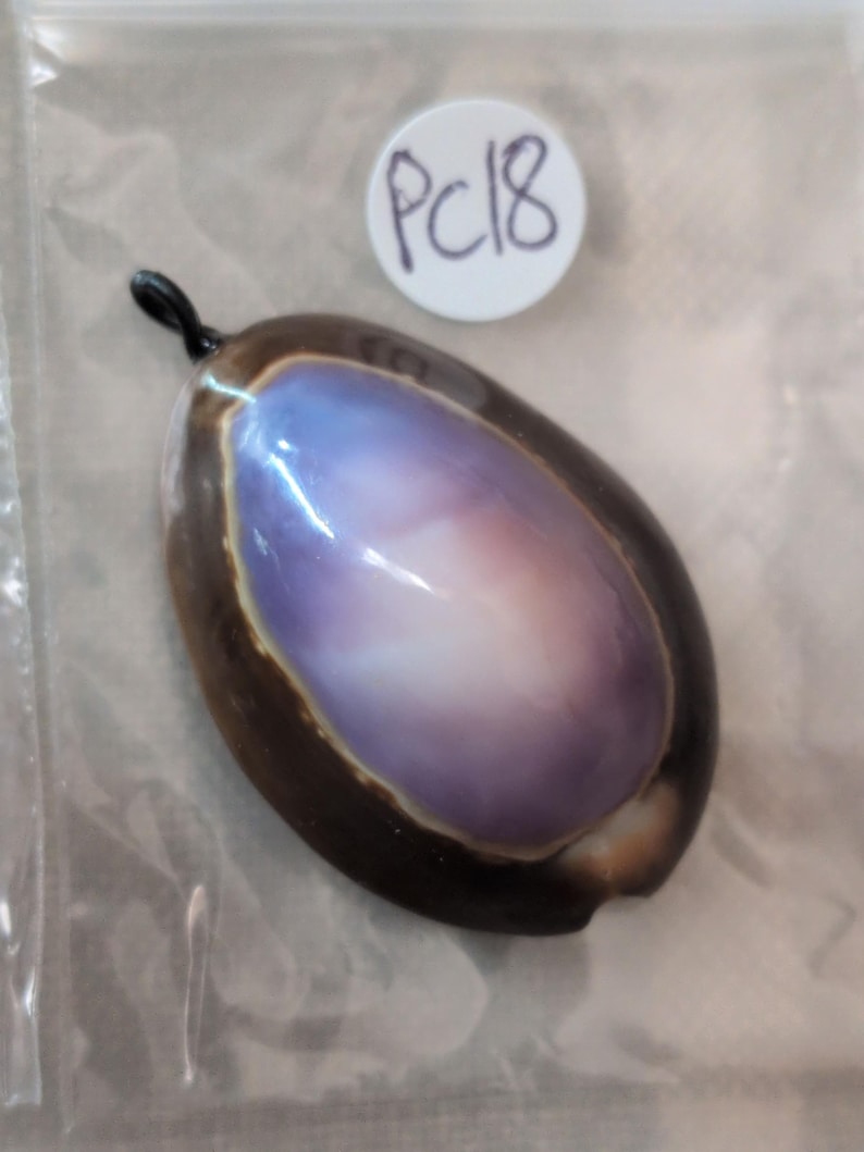 Small Cowries New Item...natural Purple Cowrie Shell Pendant.. Crystal Healing, Boho ...