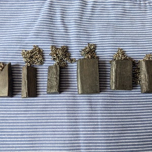 New Listing..Rare Live Edge Ancient Bog Oak Pendants and or  Earrings. 5k+ Year Old Bog Oak,Bog Wood