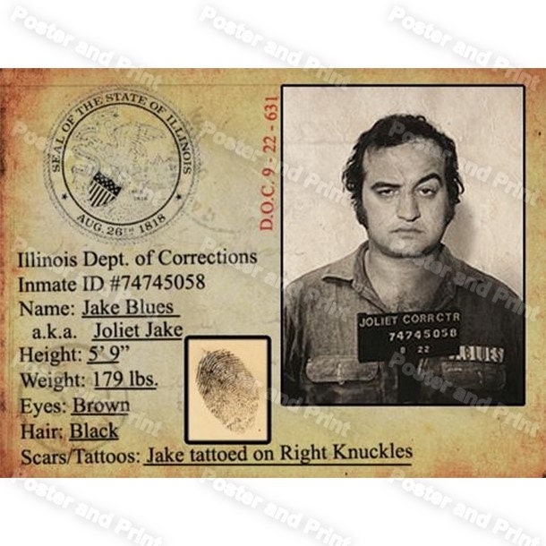 Mug shot photo Prison ID Card .. John Belushi 24 January 1949 Etsy