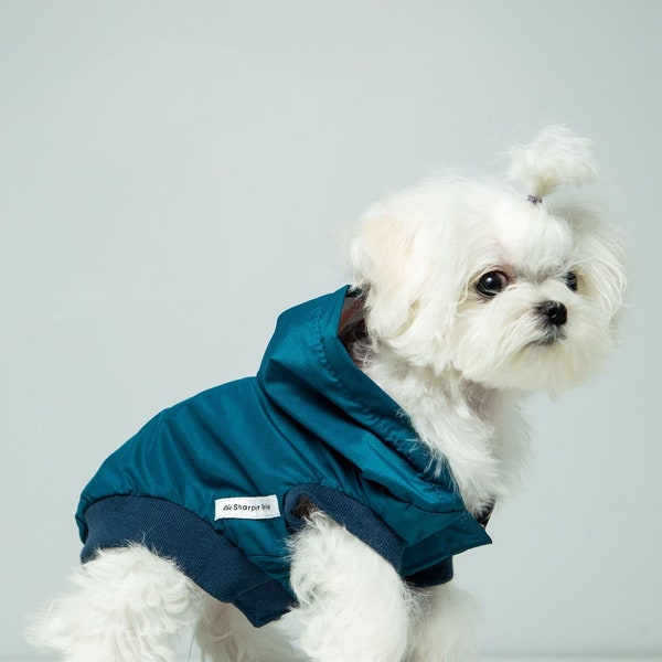 Teacup Dog Sweater Etsy