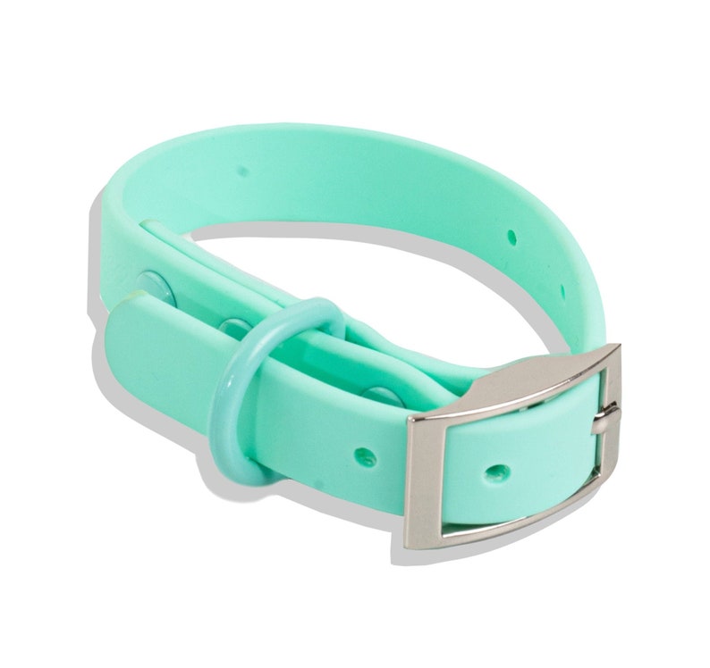 Designer PVC Waterproof Dog Collar With Metal Buckle Etsy