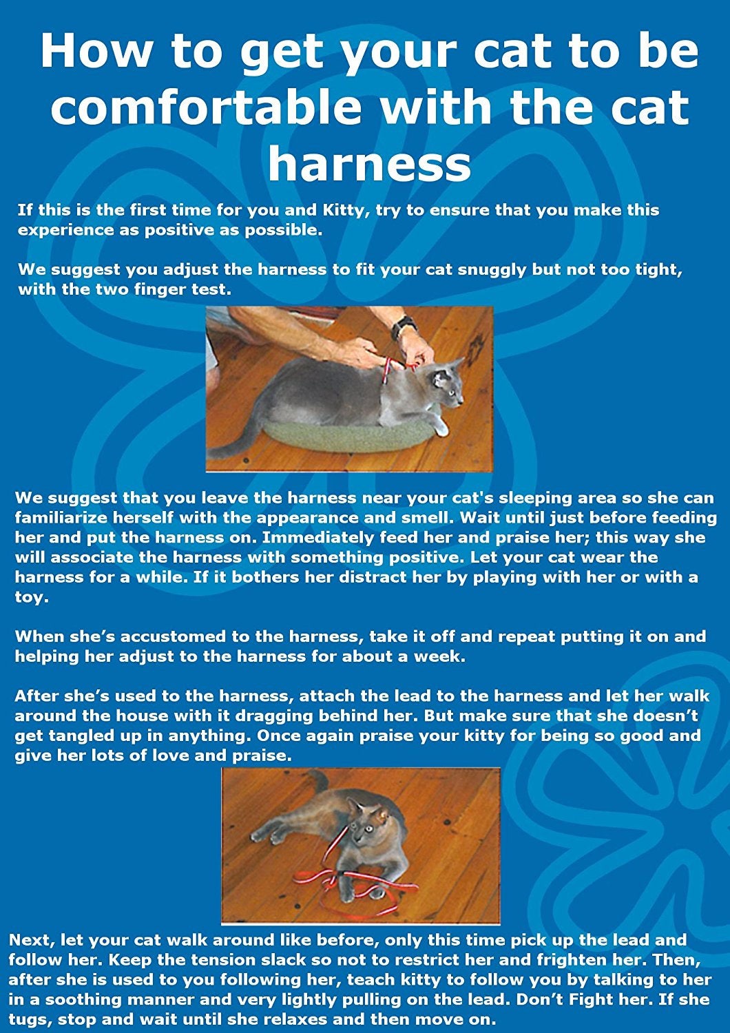 ROGZ Cat Harness and Leash SPARKLECAT Etsy