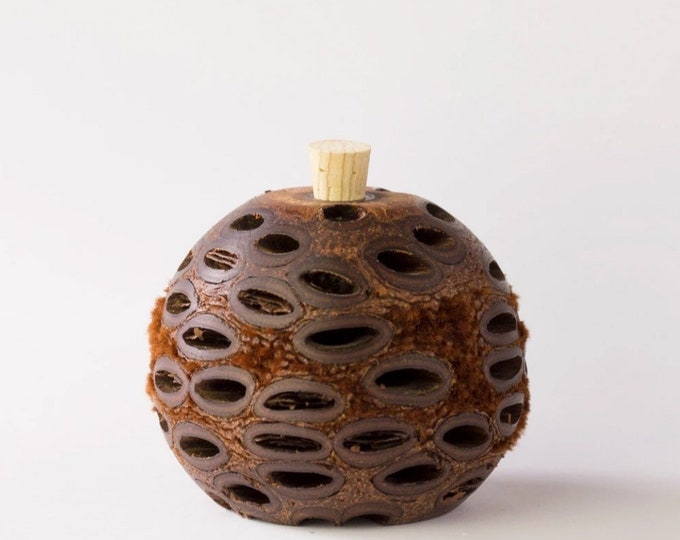 LARGE Banksia Essential Oil Diffuser | UNSCENTED or Pre-filled with Eucalyptus Oil