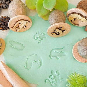 Réptil e anfíbio | Carimbos Gumnut | 5 peças