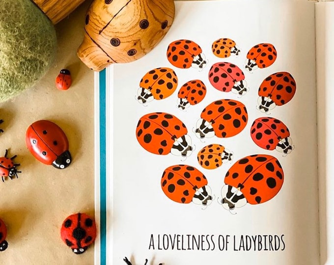 Handmade Wooden LadyBugs | Beatles | Bugs