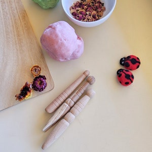 May include: A set of four wooden rolling pins, two green and two pink balls of playdough, dried flower petals in a white bowl, and two red felt ladybirds.