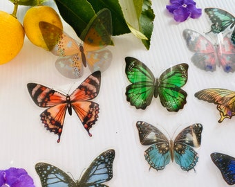 Amazing Butterfly | Coloured Collection | 10 pieces