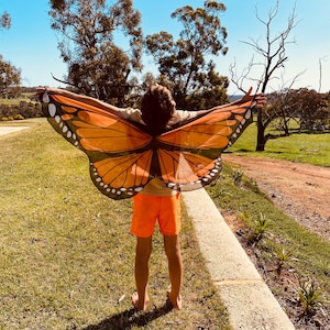 Enchanting Butterfly Wings for Kids | Vibrant Butterfly Wings | CUSTOM Chiffon Wings | Glitter, Sparkle, Dress UP,Bookweek,Dance,Caterpillar