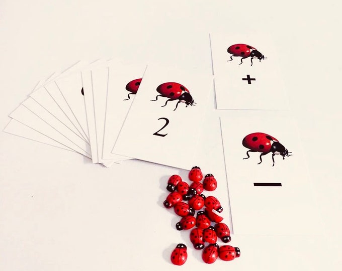 Ladybug Count Cards