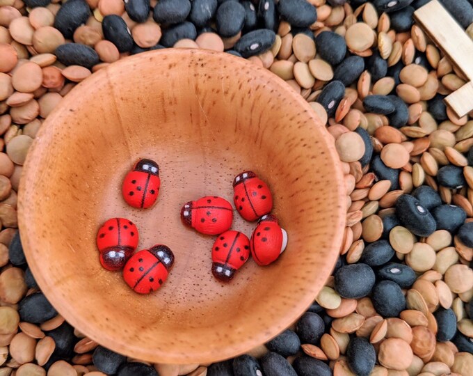Wooden Ladybirds | Ladybugs