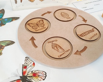 Butterfly Life Cycle ROUND PUZZLE | Montessori