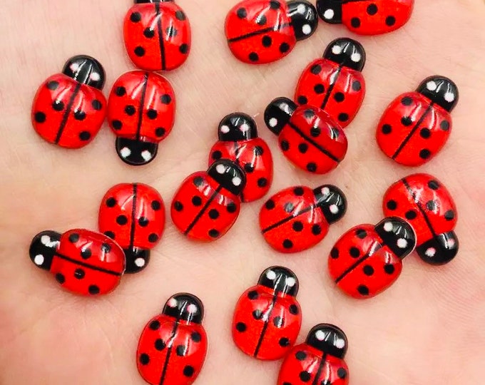 RESIN Ladybirds | Ladybugs