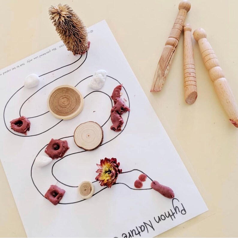May include: A white sheet of paper with a black outline of a snake with brown, white and red objects placed on the snake. The text "Python Nature" is written at the bottom of the paper. There are three wooden sticks in the top right corner of the image.