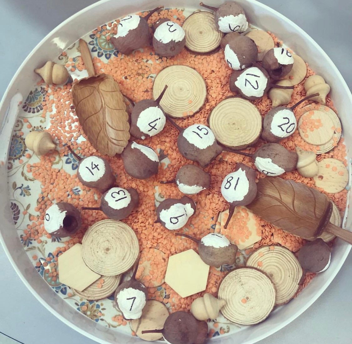 Gumnuts sets of 10, 20 or 30 Seed Tree Native Australia Parrot