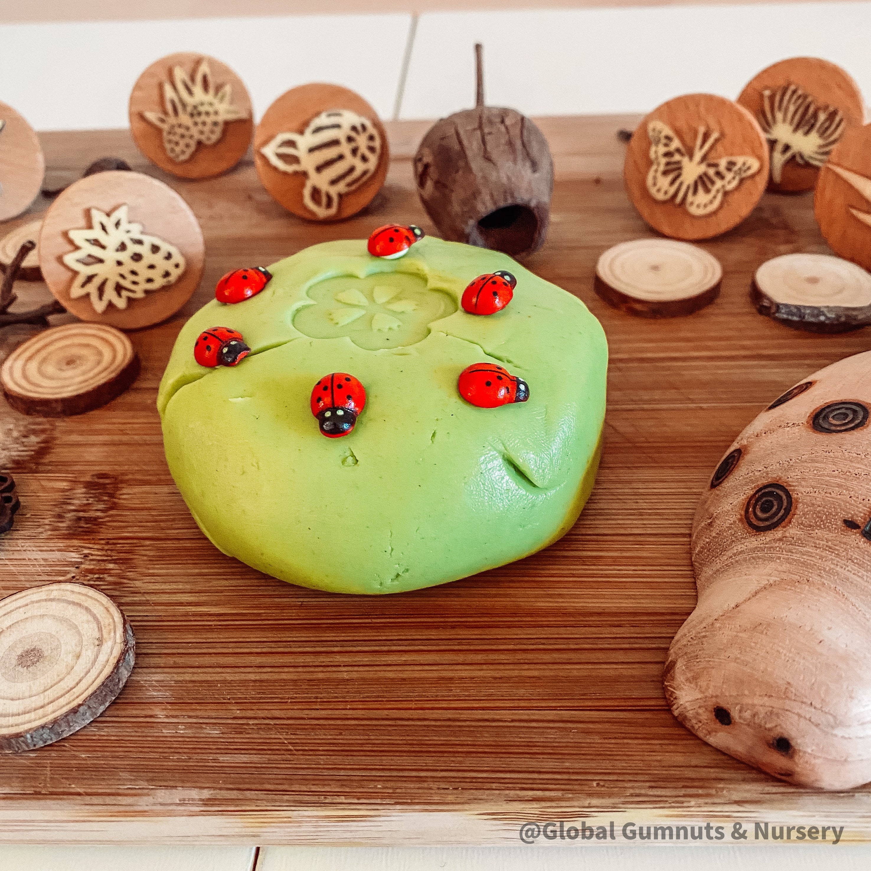 Wooden Ladybirds Ladybugs