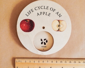Apple TREE Life Cycle Wheel | Spinner Dial | Montessori Scandi STYLE | Seeds of Nature | Gardening Kids